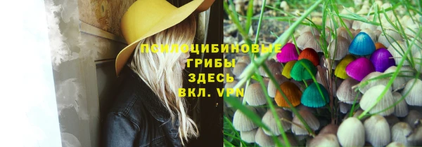 apvp Володарск