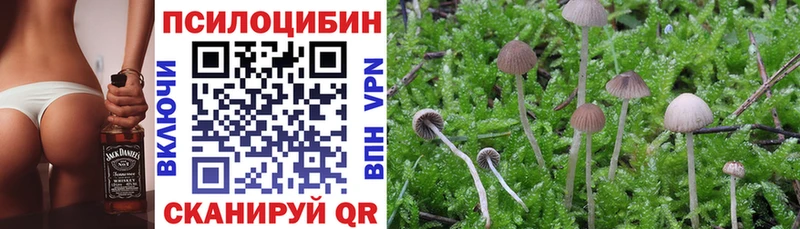 Псилоцибиновые грибы мицелий  Волоколамск 