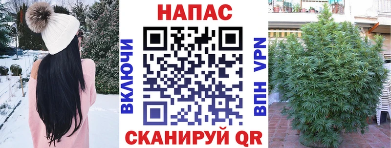 Бошки марихуана индика  как найти закладки  Волоколамск 